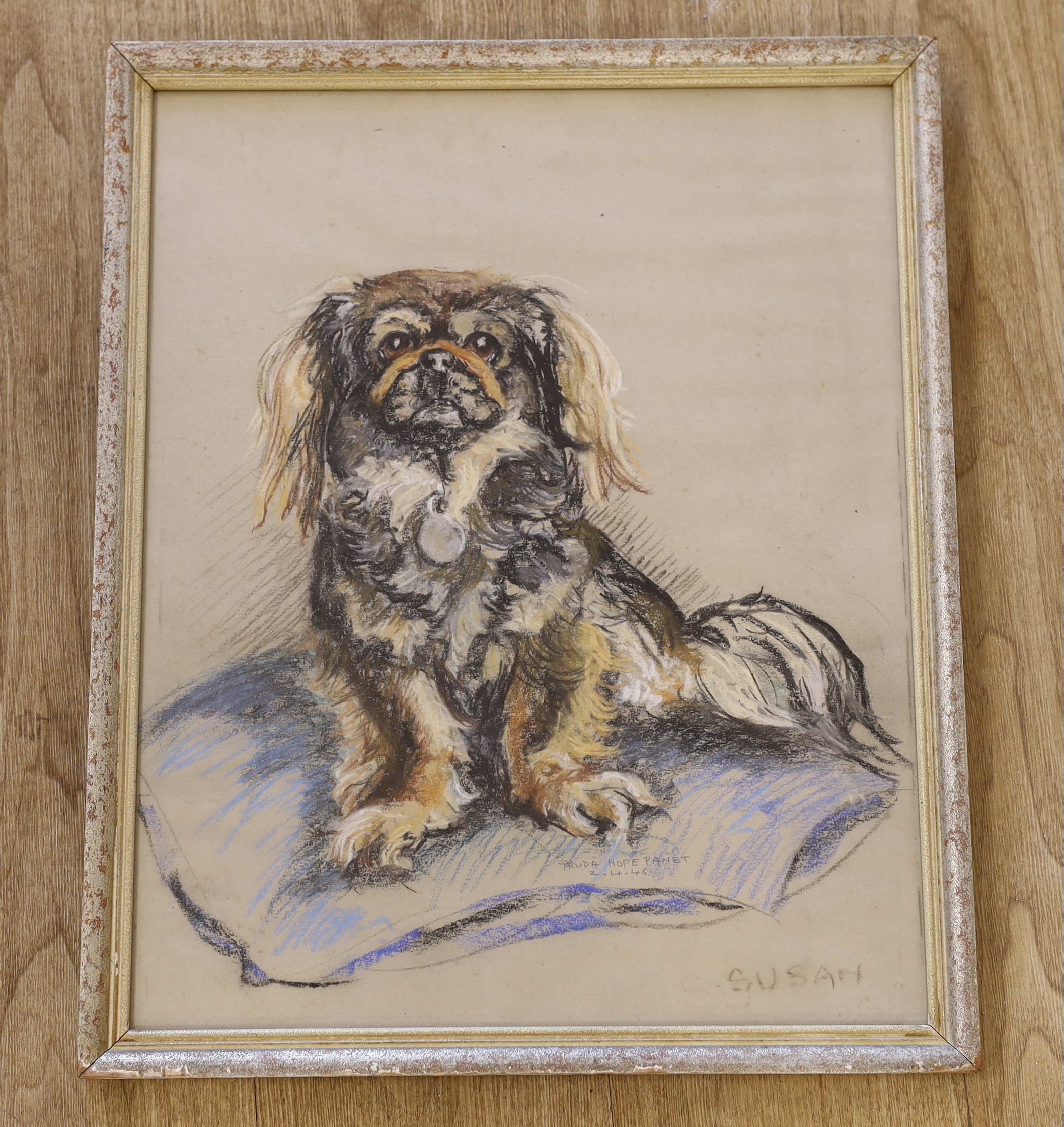 Truda Hope Panet, mid 20th century pastel, Portrait of a dog 'Susan', signed and dated, 50 x 40cm